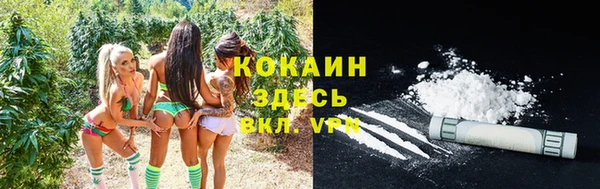 мет Бронницы
