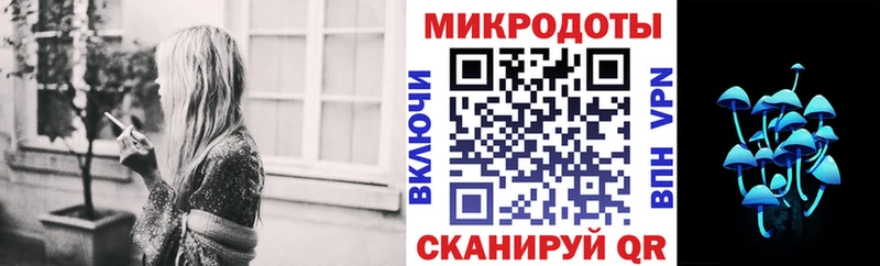 Галлюциногенные грибы Psilocybine cubensis Тула